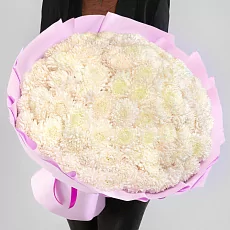 101 хризантема