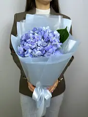 Букет живых цветов из голубой гортензии