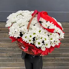25 Хризантем в Корзине