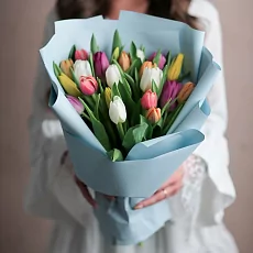 Букет из 21 Тюльпан Микс