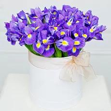 Шляпная коробка "51 ирис"