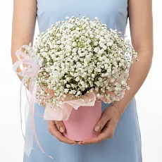 Белая гипсофила в шляпной  коробке