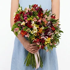 51 Альстромерия Микс