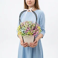Гипсофила радужная в сумочке