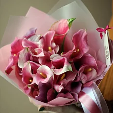 21 Розовая Калла в упаковке