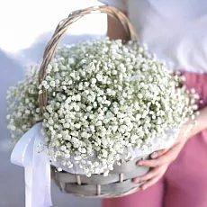 Корзина из белой гипсофилы