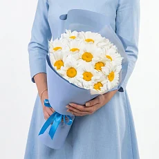 15 Крупных Ромашек в упаковке