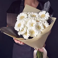 11 Белых Гербер в упаковке