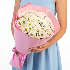 7 Кустовых Хризантем Ромашка