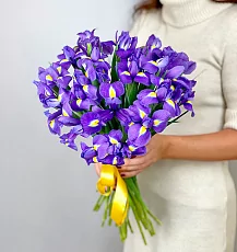 Букет из 25 ирисов