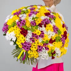 101 Кустовая разноцветная хризантема 