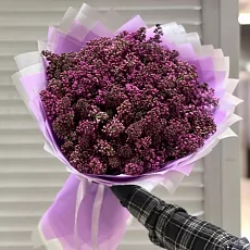 25 веток сирени в дизайнерской упаковке