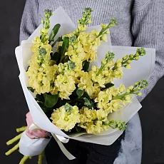 Букет "11 Желтых Маттиол"