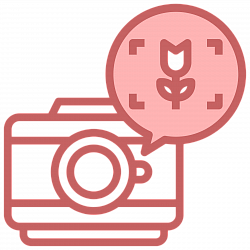 Бесплатное фото готового букета