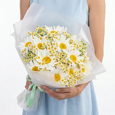 25 Ромашек Микс