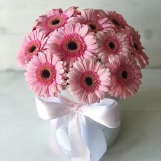 Коробка нежно розовых гербер