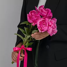 5 Малиновых Пионов