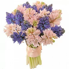 Свадебный букет из 25 гиацинтов