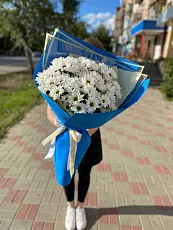 Ромашковые Хризантемы 11 шт