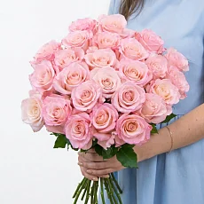 Нежные розы Эквадор 25 шт