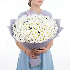 51 кустовая хризантема