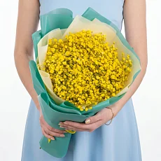 9 Желтых Гипсофил