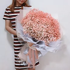 35 Нежно-Оранжевых Гипсофил