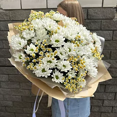 Матрикарии и Хризантема кустовая