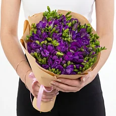35 Фиолетовых Фрезий