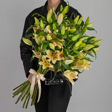  25 Кремовых Лилий