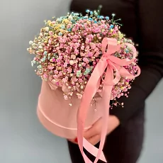 Коробка с гипсофилой 