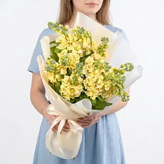 11 Желтых Маттиол в упаковке