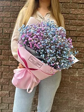 Нежные гипсофилы микс