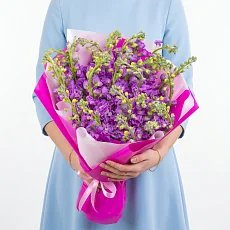 25 Фиолетовых Маттиол в упаковке