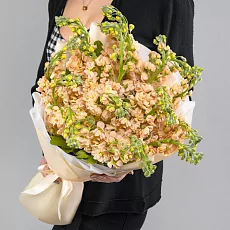 19 Кремовых Маттиол в упаковке 