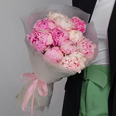 Розовые пионы Сара Бернар