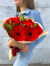 7 Красных гербер с зеленью