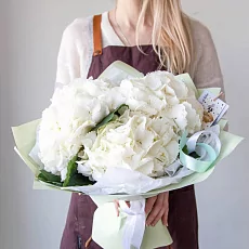 3 Снежные Гортензии