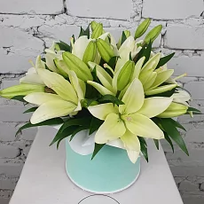 Композиция с лилией в коробке 