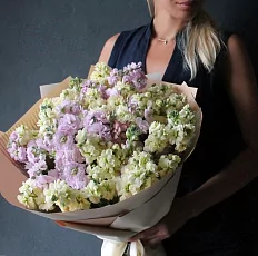 35 Нежных Маттиол в упаковке