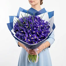 101 Ирис в упаковке