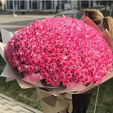 Букет из 501 розы