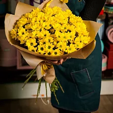 17 Желтых Хризантем в упаковке 