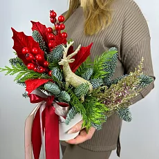 Новогодняя коробка с туей и нобилисом 