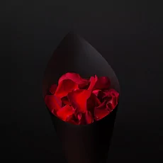 Лепестки роз красные