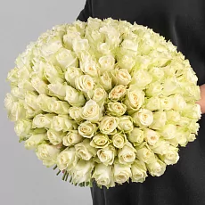 151 Белая Роза