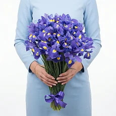 31 Ирис