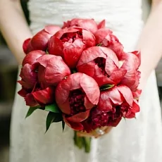 Букет невесты 11  красных пионов 