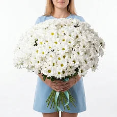 51 Хризантема