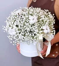 Шляпная коробка "Пушистая гипсофила"